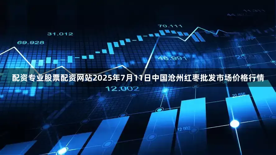 配资专业股票配资网站2025年7月11日中国沧州红枣批发市场价格行情