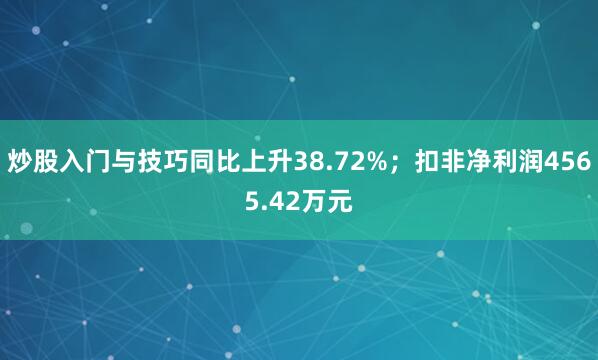炒股入门与技巧同比上升38.72%；扣非净利润4565.42万元