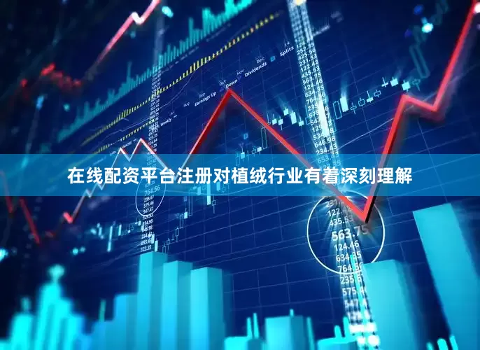 在线配资平台注册对植绒行业有着深刻理解