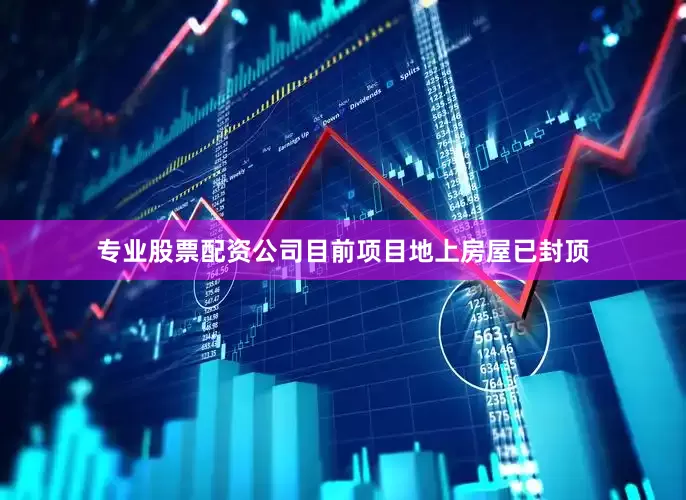专业股票配资公司目前项目地上房屋已封顶